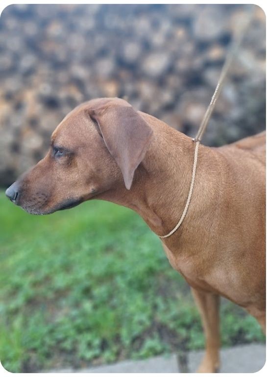 Návrh bez názvu - 2026-01-16T194236.491